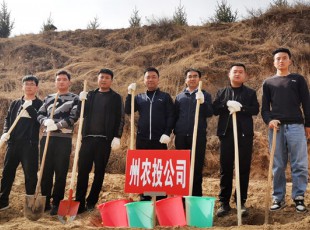 东升国际官网参与2021年春季使命植树活动