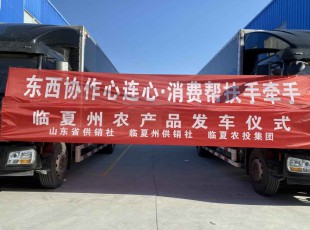 临夏东升国际官网集团进杏装器材合作心连心·消费助扶手牵手”农产品发车典礼