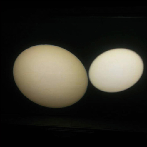 LED �������